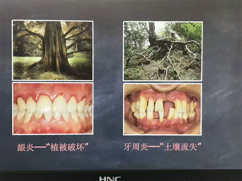 未标题-8.jpg