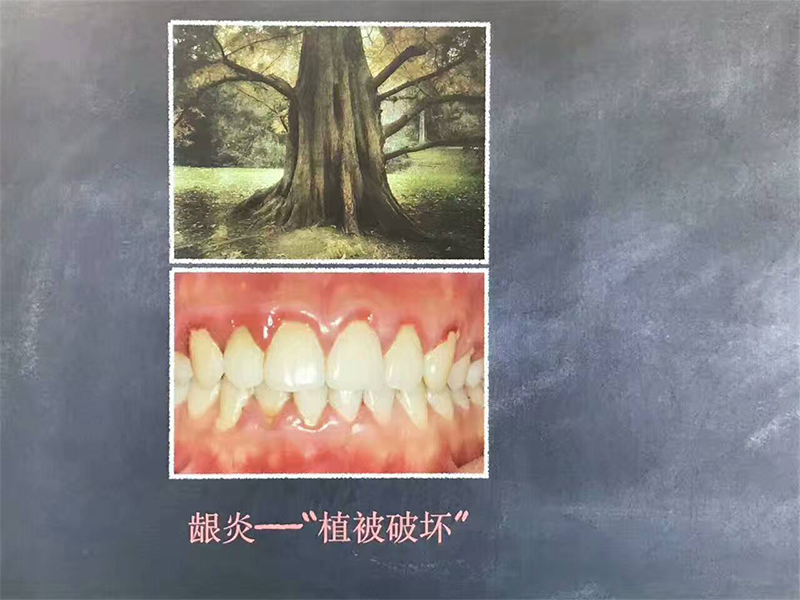 未标题-10.jpg
