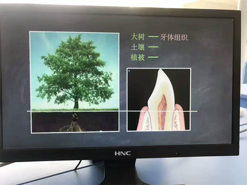 未标题-11.jpg